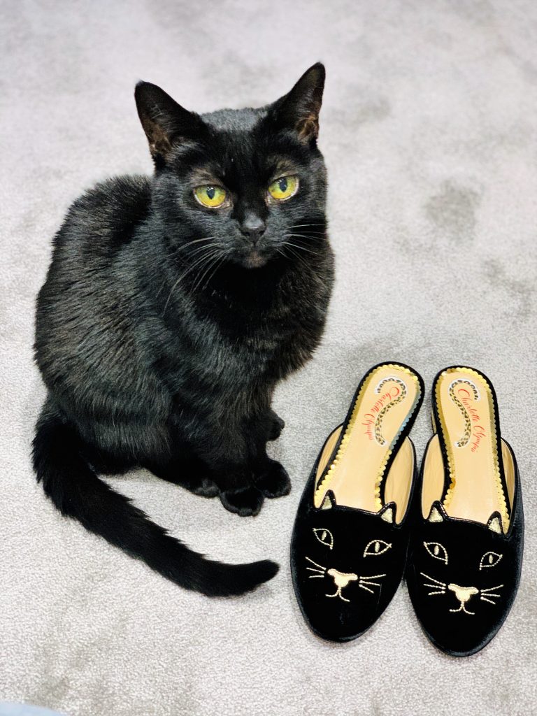 Cat with Charlotte Olympia kitty mules