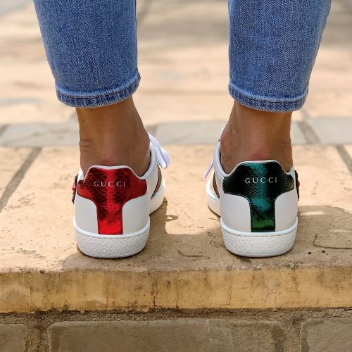 gucci ace trainer